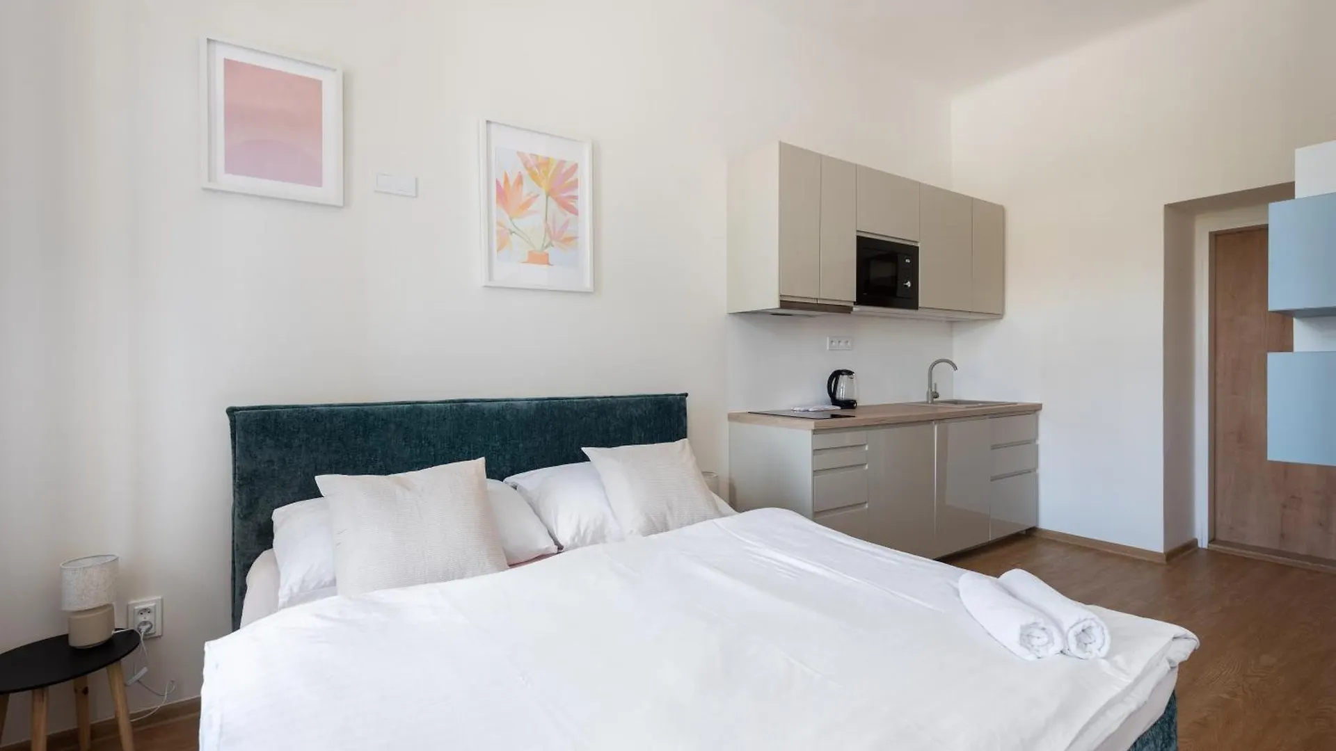 Residence Tesnov Apartment Praga Czechy