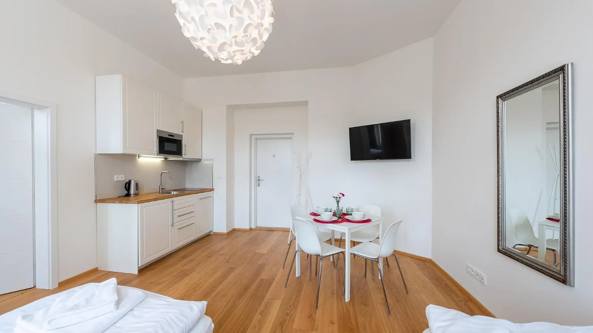 Residence Tesnov Apartment Praga